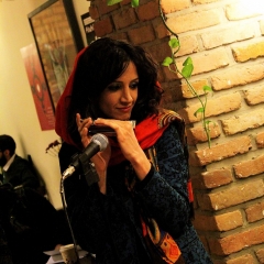Shanzelize_Shayan-Shahsavari_Report_Navaak-5