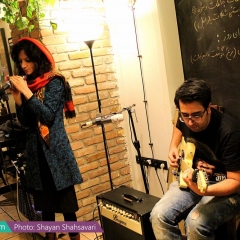 Shanzelize_Shayan-Shahsavari_Report_Navaak-7