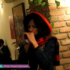Shanzelize_Shayan-Shahsavari_Report_Navaak-8