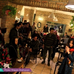 Shanzelize_Shayan-Shahsavari_Report_Navaak-9